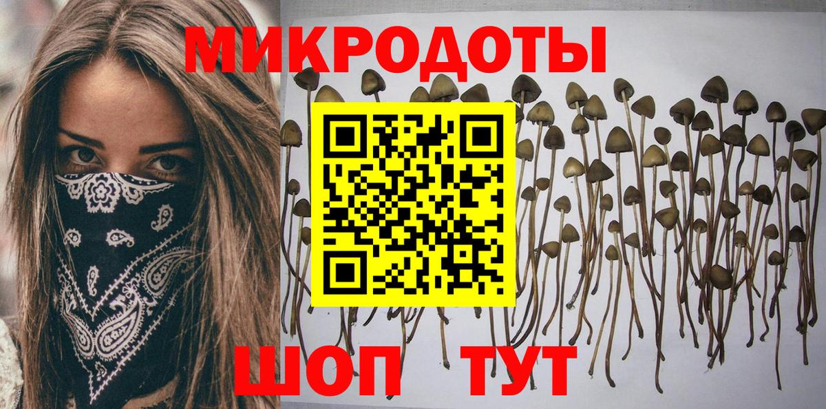 Псилоцибиновые грибы Psilocybine cubensis  Вход с VPN  Малоярославец  Галлюциногенные грибы мицелий 
